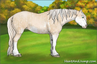Horse Color:Cremello Sabino  and Palomino Pearl Sabino 