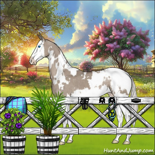 Horse Color:White Spotted Silver Grullo Splash Appaloosa 
