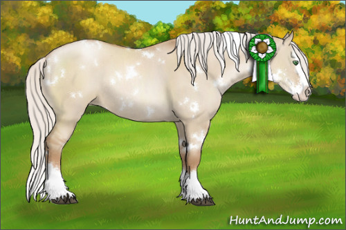 Horse Color:White Spotted Silver Grullo Pearl Splash Rabicano 
