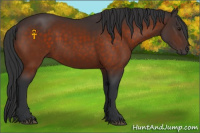 Horse Color:Brown 