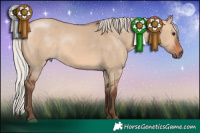 Horse Color:Silver Bay Dun Rabicano 