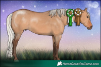 Horse Color:Silver Bay Dun Rabicano 