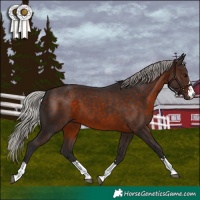 Horse Color:Silver Brown 