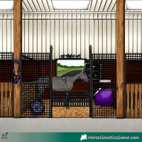 Horse Color:Grullo 