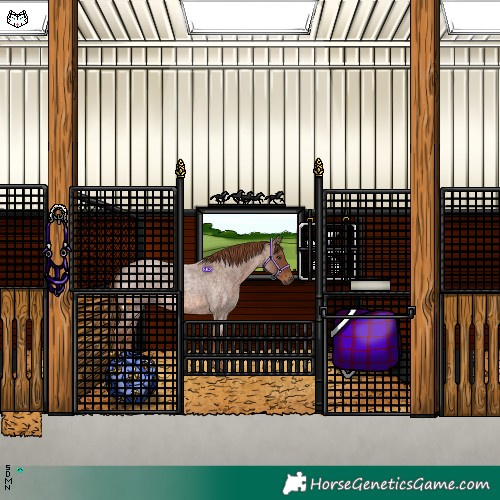 Horse Color:Red Roan 