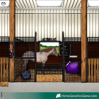 Horse Color:Red Roan 