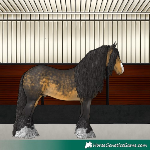Horse Color:Buckskin