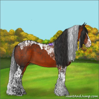Horse Color:Brown Splash Tobiano  and Brown Splash Tobiano 