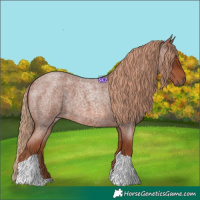 Horse Color:Red Roan Tobiano