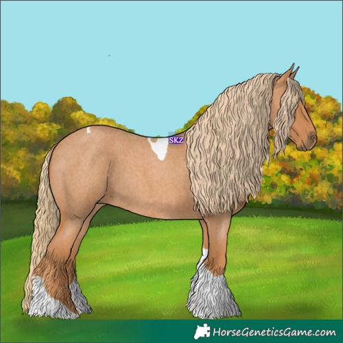 Horse Color:Red Roan Tobiano
