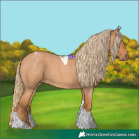 Horse Color:Red Roan Tobiano 