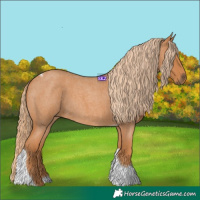 Horse Color:Red Roan Tobiano
