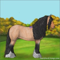 Horse Color:Bay Roan Tobiano