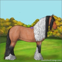 Horse Color:Bay Roan Tobiano