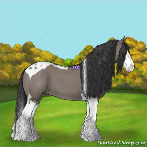 Horse Color:Grullo Splash Tobiano