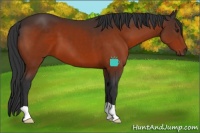 Horse Color:Brown 