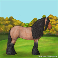 Horse Color:Bay Roan 