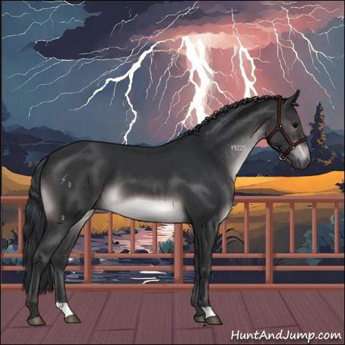 Horse Color:Platinum Brown 