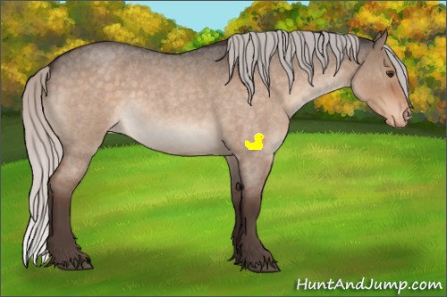 Horse Color:Silver Brown Roan Dun Sabino Appaloosa