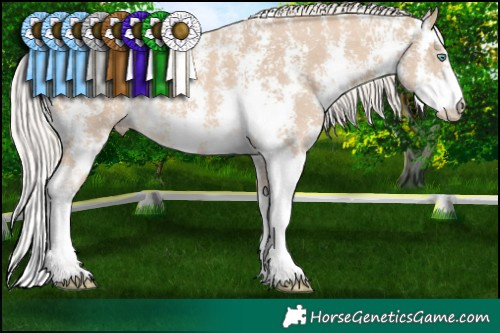 Horse Color:Cremello Sabino Rabicano 