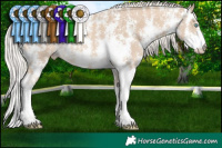 Horse Color:Cremello Sabino Rabicano