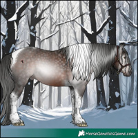 Horse Color:Gray Liver Chestnut Tobiano 