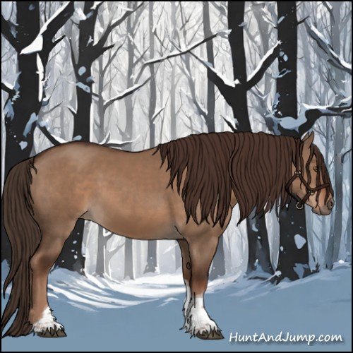 Horse Color:Liver Red Dun Tobiano 