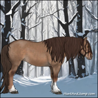 Horse Color:Liver Red Dun Tobiano 