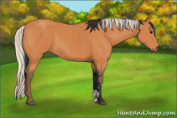 Horse Color:Bay  and Silver Bay 