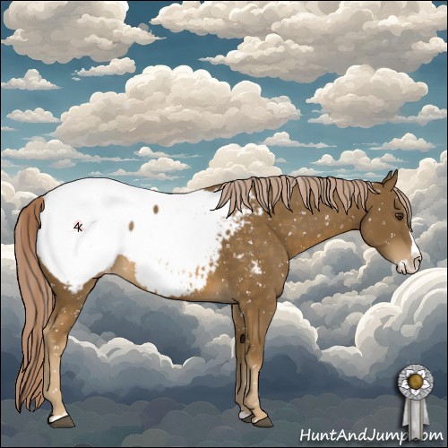 Horse Color:Chocolate Palomino Sabino Splash Appaloosa