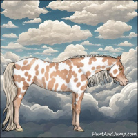Horse Color:Gold Champagne Roan Frame Appaloosa 