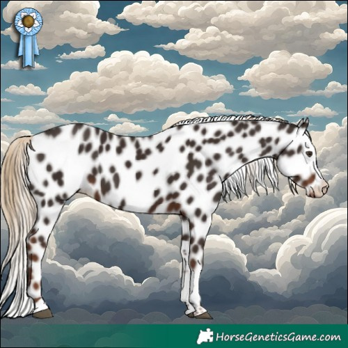 Horse Color:Liver Chestnut Tobiano Leopard 
