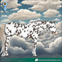 Horse Color:Liver Chestnut Tobiano Appaloosa