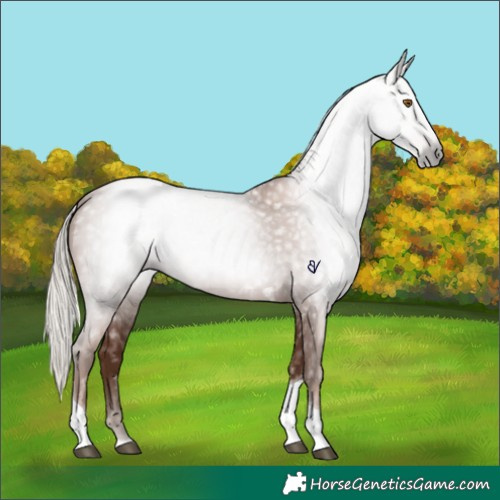 Horse Color:Gray Silver Black Pearl Tobiano 
