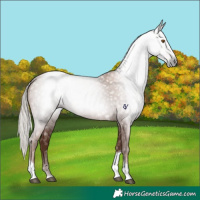 Horse Color:Gray Silver Black Pearl Tobiano 