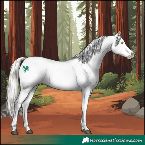 Horse Color:Silver Bay Roan Dun Snowflake Varnish Rabicano