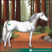 Horse Color:Silver Bay Roan Dun Snowflake Varnish Rabicano 