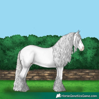 Horse Color:Silver Bay Roan Dun Snowflake Varnish Rabicano 