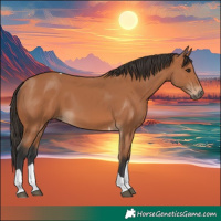 Horse Color:Bay Tobiano 