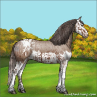 Horse Color:Silver Brown Varnish  and Liver Red Dun Sabino Splash Varnish 