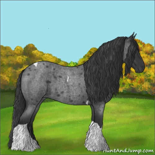 Horse Color:Blue Roan Tobiano 