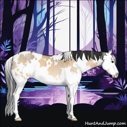Horse Color:White Spotted Bay Dun Splash 