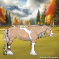 Horse Color:Silver Bay Roan Dun Splash Tobiano Snowflake Varnish Rabicano