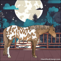 Horse Color:Chocolate Palomino Near Leopard 