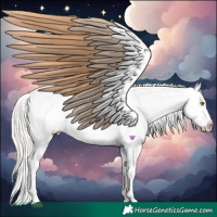 Horse Color:Silver Bay Roan Dun Appaloosa Rabicano