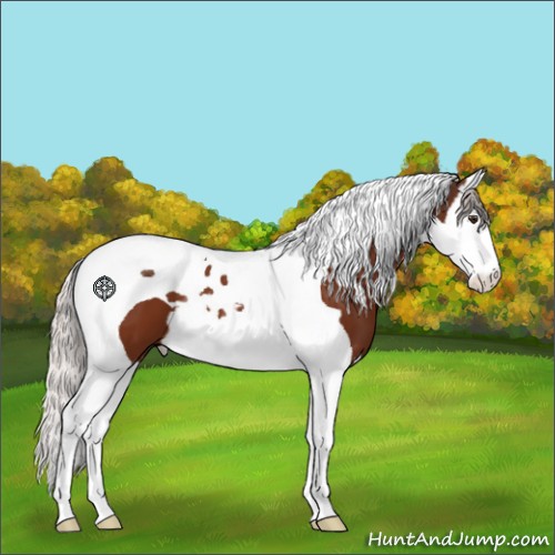 Horse Color:Silver Brown Splash Tobiano 