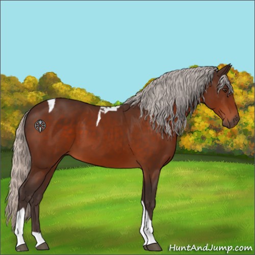 Horse Color:Silver Brown Tobiano 