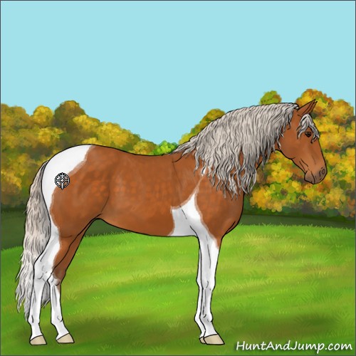 Horse Color:Silver Buckskin Tobiano 