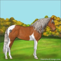 Horse Color:Silver Buckskin Tobiano 