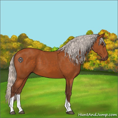 Horse Color:Silver Buckskin Sabino Tobiano